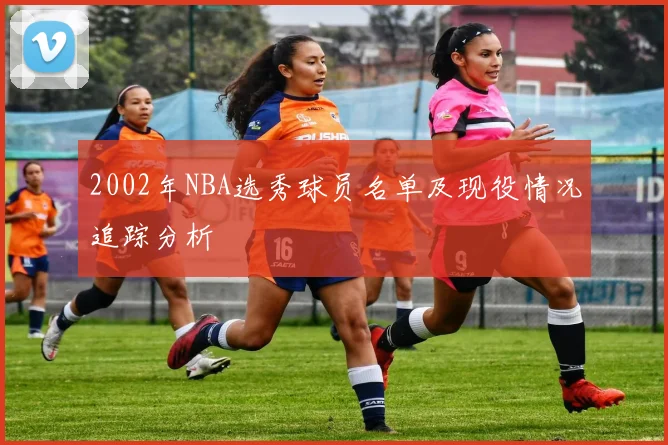 2002年NBA选秀球员名单及现役情况追踪分析