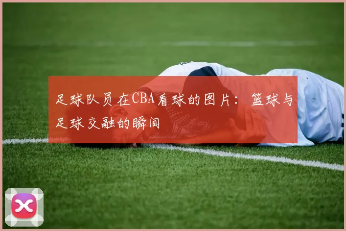 足球队员在CBA看球的图片：篮球与足球交融的瞬间