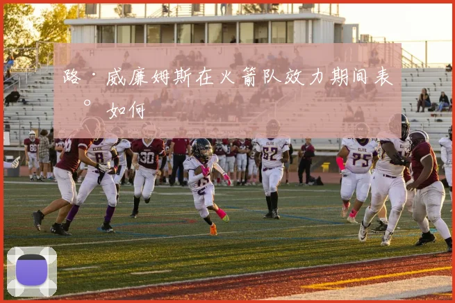 路·威廉姆斯在火箭队效力期间表现如何