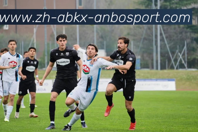 安博体育平台生态图