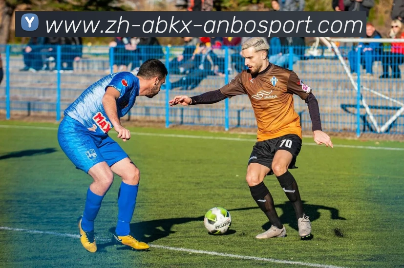 安博体育APP 封面图